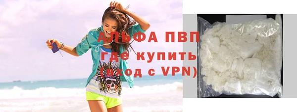 сатива Володарск